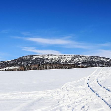 Holiday Home Holiday Hill 47 By Interhome Cista  エクステリア 写真